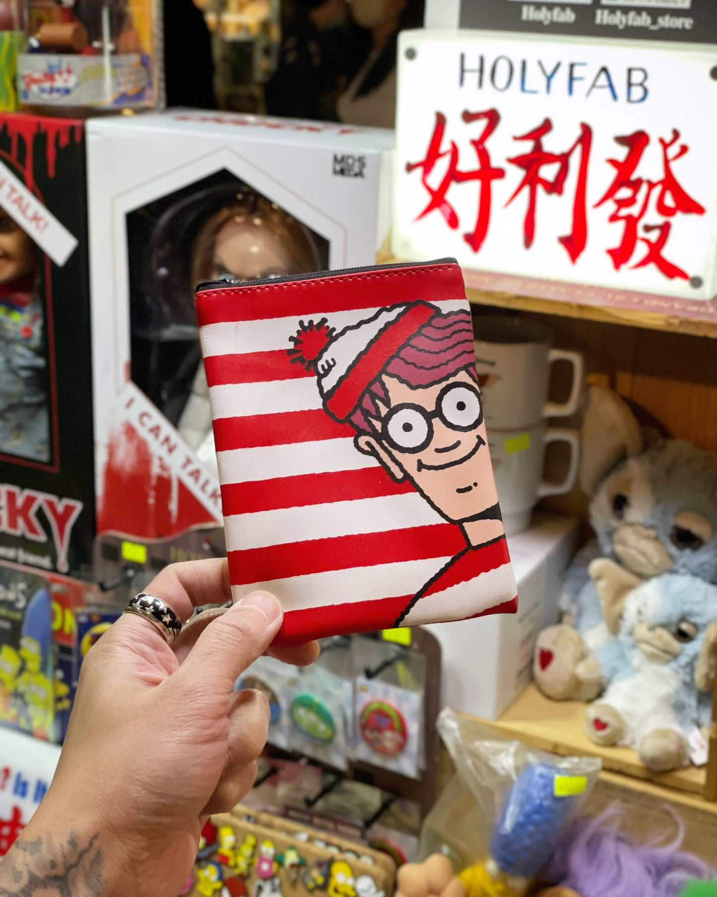 Where’s Wally Pouch